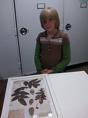 Lucy at the Lewis and Clark herbarium