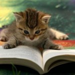 Cat-CatReadingBook03